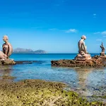 Picafort Near The Sea